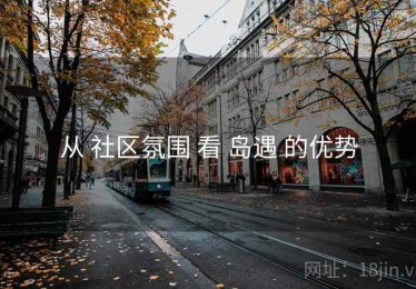 从 社区氛围 看 岛遇 的优势