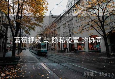 蓝莓视频 与 隐私设置 的协同