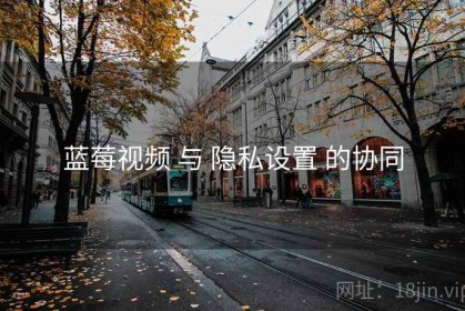 蓝莓视频 与 隐私设置 的协同