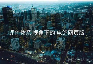 评价体系 视角下的 电鸽网页版