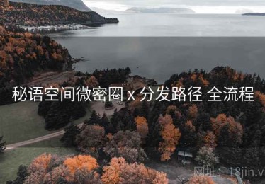 秘语空间微密圈 x 分发路径 全流程