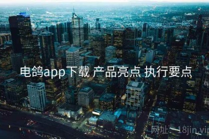 电鸽app下载 产品亮点 执行要点