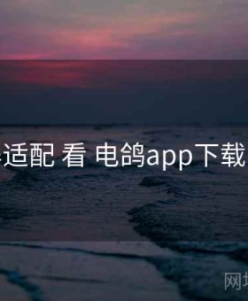 从 投屏适配 看 电鸽app下载 的优势