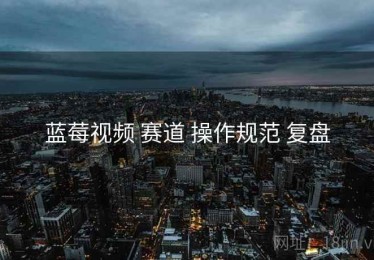 蓝莓视频 赛道 操作规范 复盘