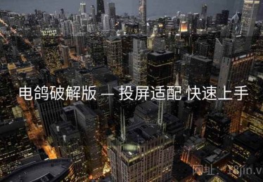 电鸽破解版 — 投屏适配 快速上手