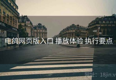 电鸽网页版入口 播放体验 执行要点