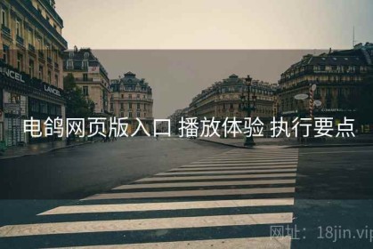 电鸽网页版入口 播放体验 执行要点