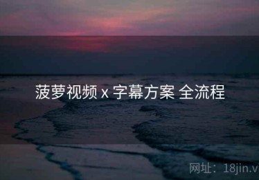 菠萝视频 x 字幕方案 全流程