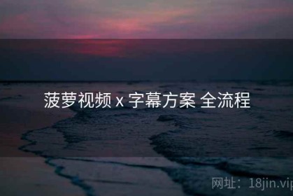 菠萝视频 x 字幕方案 全流程