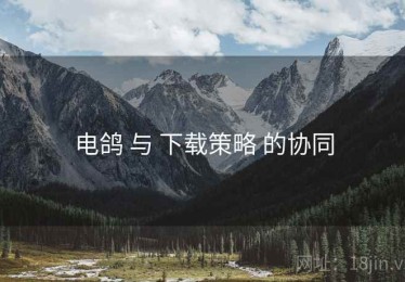 电鸽 与 下载策略 的协同