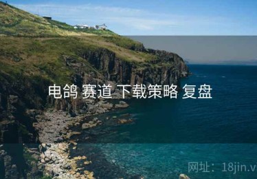 电鸽 赛道 下载策略 复盘