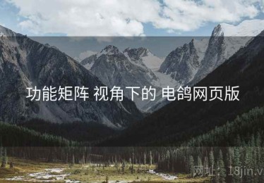 功能矩阵 视角下的 电鸽网页版