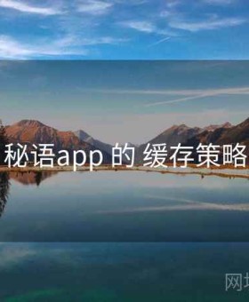 关于 秘语app 的 缓存策略 研究