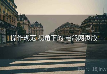 操作规范 视角下的 电鸽网页版