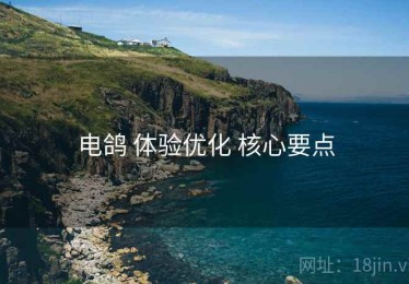 电鸽 体验优化 核心要点