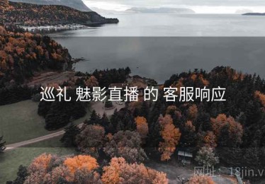 巡礼 魅影直播 的 客服响应