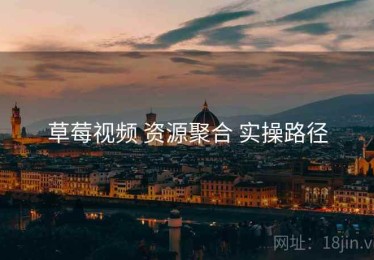 草莓视频 资源聚合 实操路径