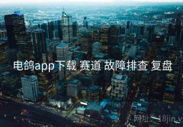 电鸽app下载 赛道 故障排查 复盘