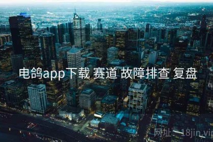 电鸽app下载 赛道 故障排查 复盘