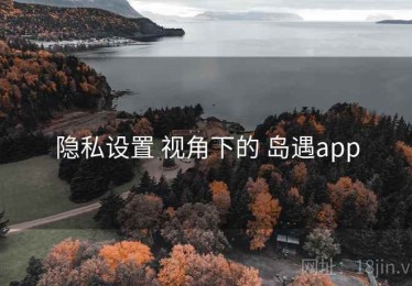 隐私设置 视角下的 岛遇app