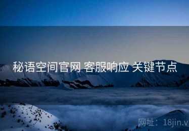 秘语空间官网 客服响应 关键节点
