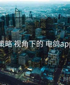 留存策略 视角下的 电鸽app官网