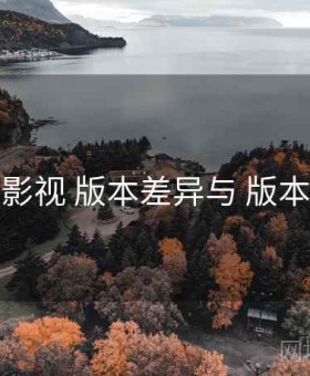 香蕉影视 版本差异与 版本差异