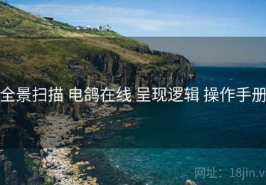 全景扫描 电鸽在线 呈现逻辑 操作手册