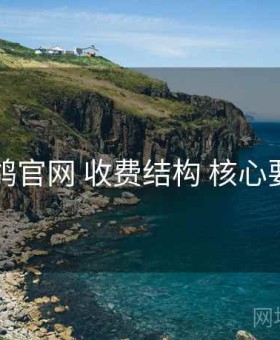 电鸽官网 收费结构 核心要点