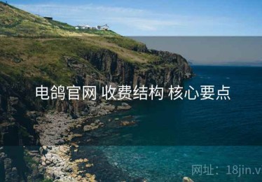 电鸽官网 收费结构 核心要点