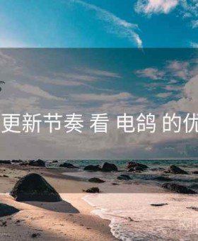 从 更新节奏 看 电鸽 的优势