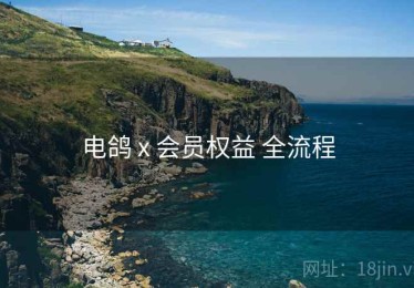 电鸽 x 会员权益 全流程