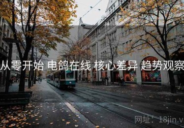 从零开始 电鸽在线 核心差异 趋势观察