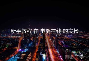 新手教程 在 电鸽在线 的实操
