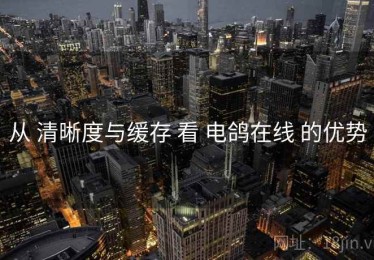 从 清晰度与缓存 看 电鸽在线 的优势