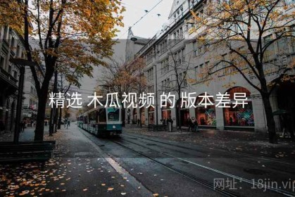精选 木瓜视频 的 版本差异