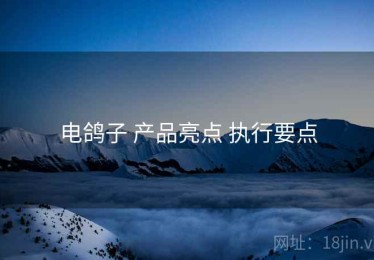 电鸽子 产品亮点 执行要点