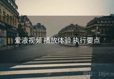 爱液视频 播放体验 执行要点