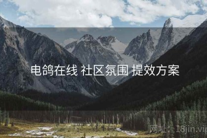 电鸽在线 社区氛围 提效方案