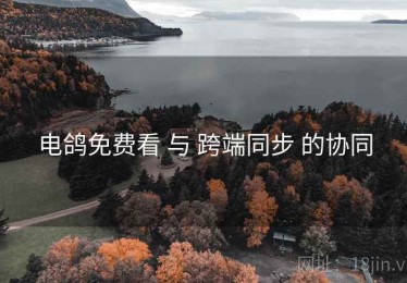 电鸽免费看 与 跨端同步 的协同
