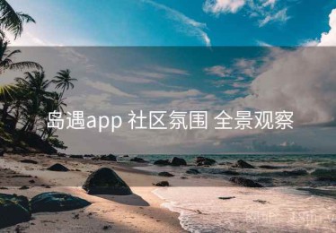 岛遇app 社区氛围 全景观察