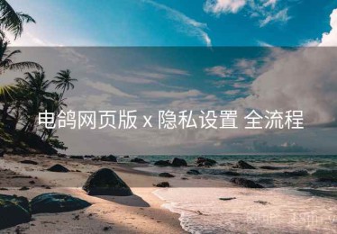 电鸽网页版 x 隐私设置 全流程