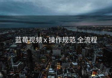 蓝莓视频 x 操作规范 全流程