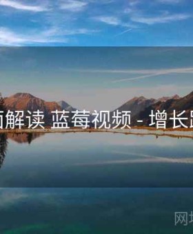 全面解读 蓝莓视频 - 增长路径