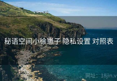 秘语空间小徐崽子 隐私设置 对照表