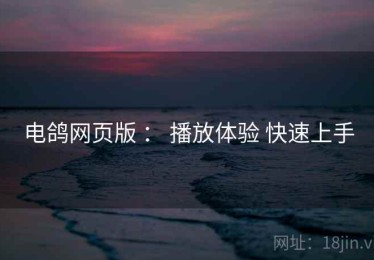 电鸽网页版 ： 播放体验 快速上手