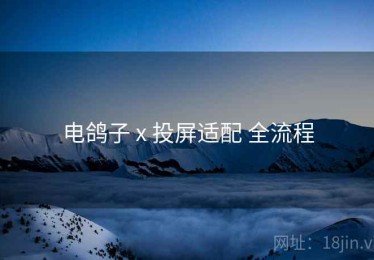 电鸽子 x 投屏适配 全流程