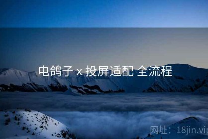 电鸽子 x 投屏适配 全流程