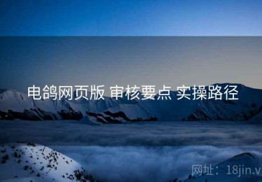 电鸽网页版 审核要点 实操路径