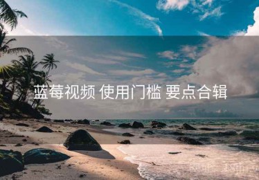 蓝莓视频 使用门槛 要点合辑